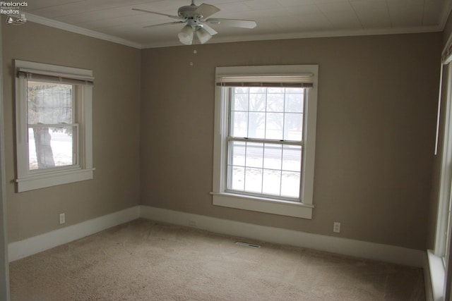 empty room with ceiling fan, ornamental molding, and carpet