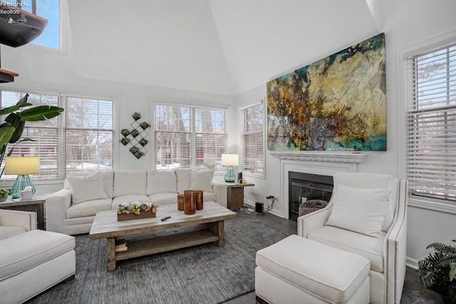 living room featuring high vaulted ceiling