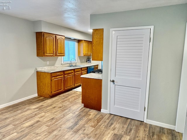 kitchen with sink and light hardwood / wood-style flooring