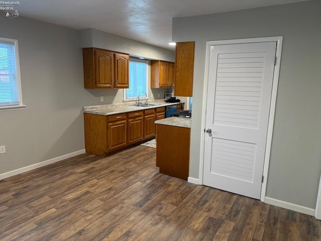 kitchen featuring dark hardwood / wood-style flooring, dishwashing machine, and sink