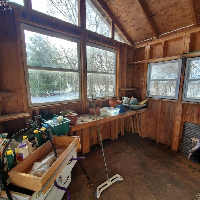 miscellaneous room with vaulted ceiling and a healthy amount of sunlight