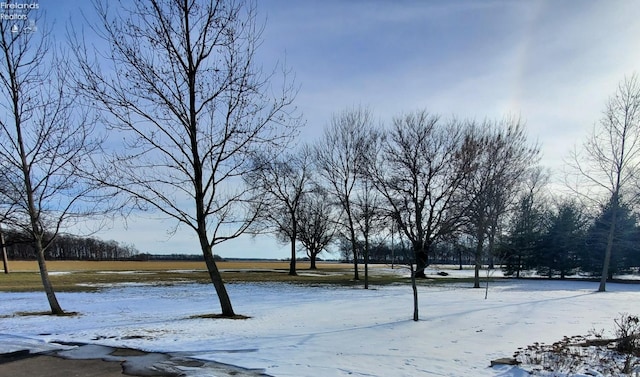 view of yard covered in snow