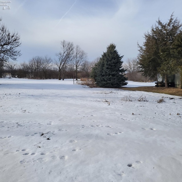 view of yard covered in snow