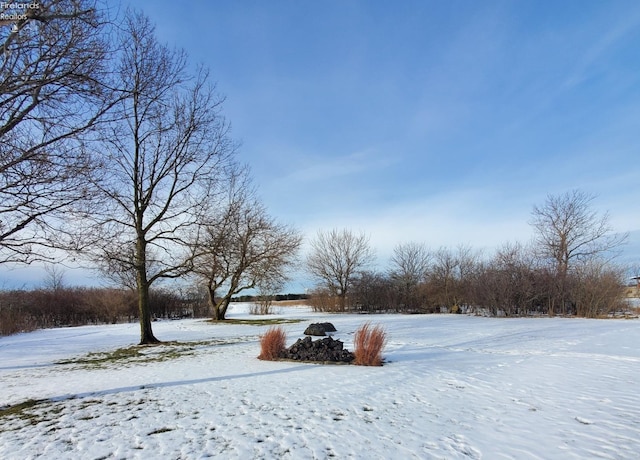 view of snowy yard