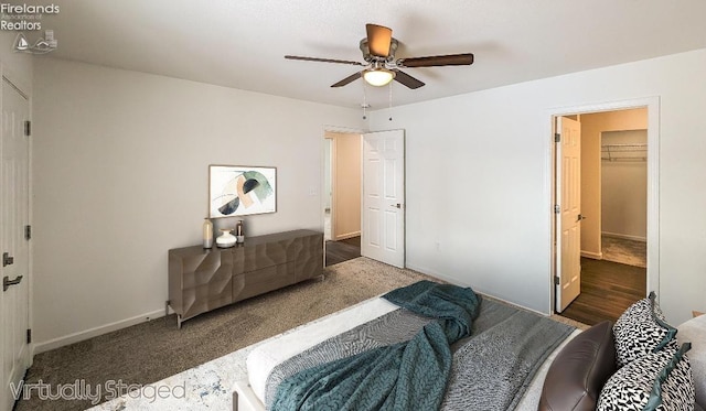 carpeted bedroom featuring a spacious closet, ceiling fan, and a closet