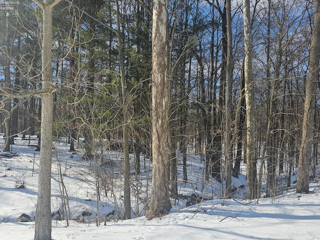 view of snowy landscape