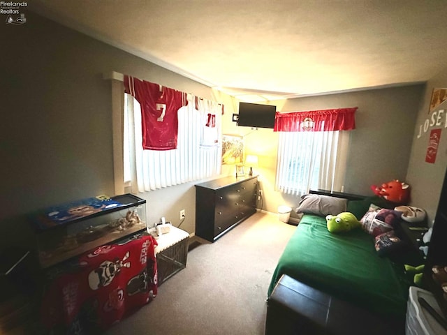 bedroom featuring carpet floors