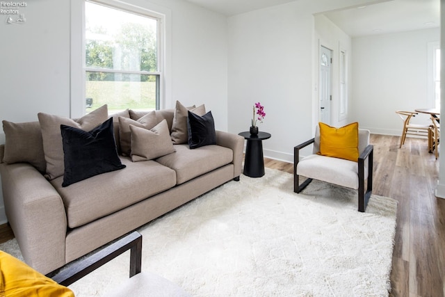 living room with wood-type flooring