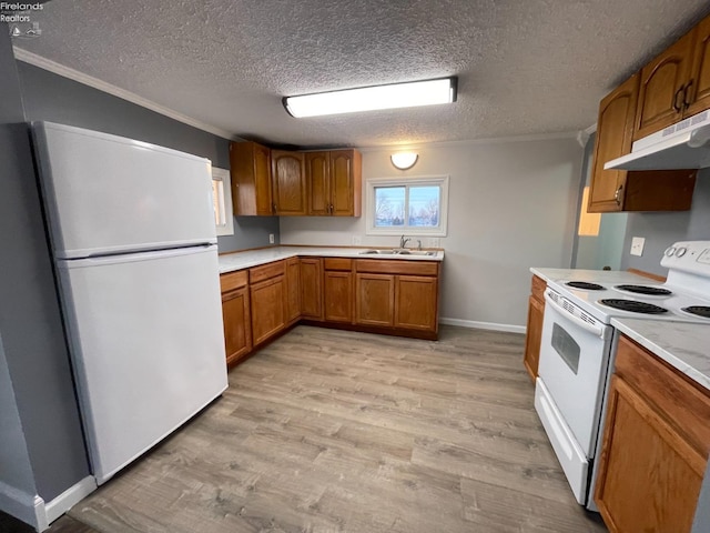 kitchen featuring sink, light hardwood / wood-style flooring, a textured ceiling, ornamental molding, and white appliances