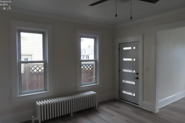 entryway featuring hardwood / wood-style flooring, crown molding, plenty of natural light, and radiator heating unit