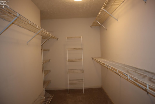 walk in closet with dark carpet