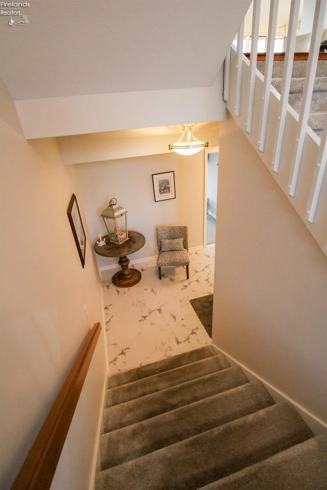 staircase featuring carpet