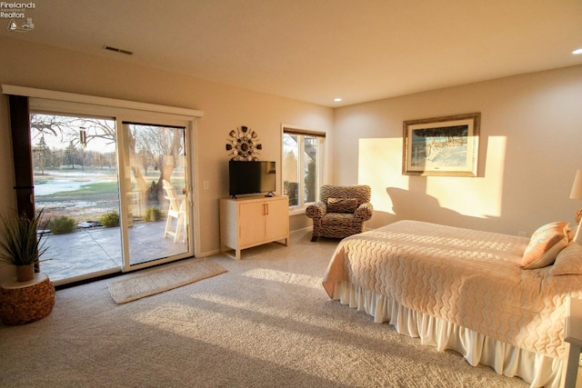 carpeted bedroom featuring access to exterior and multiple windows