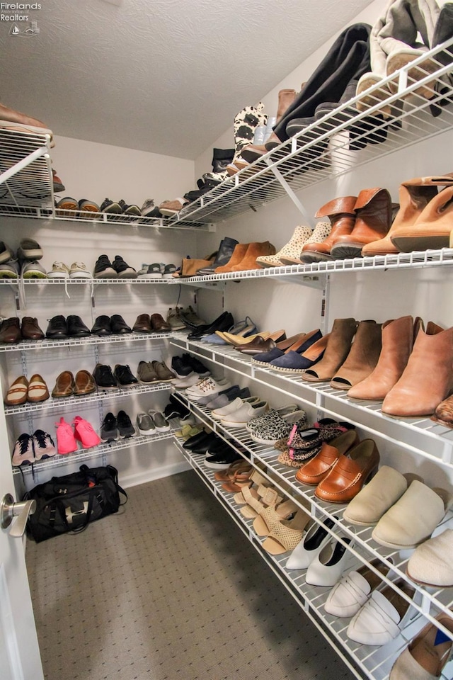 view of walk in closet