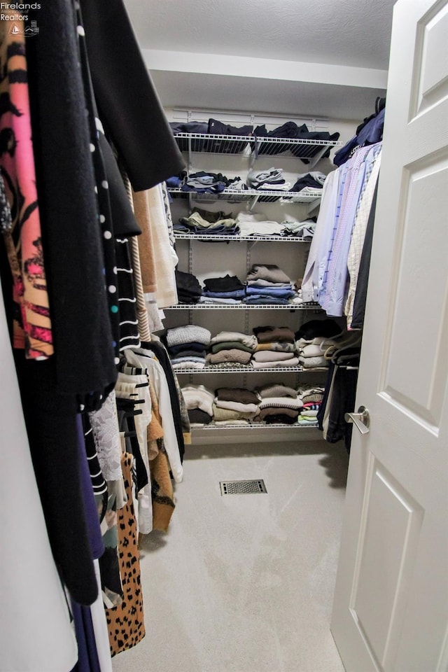 spacious closet with carpet