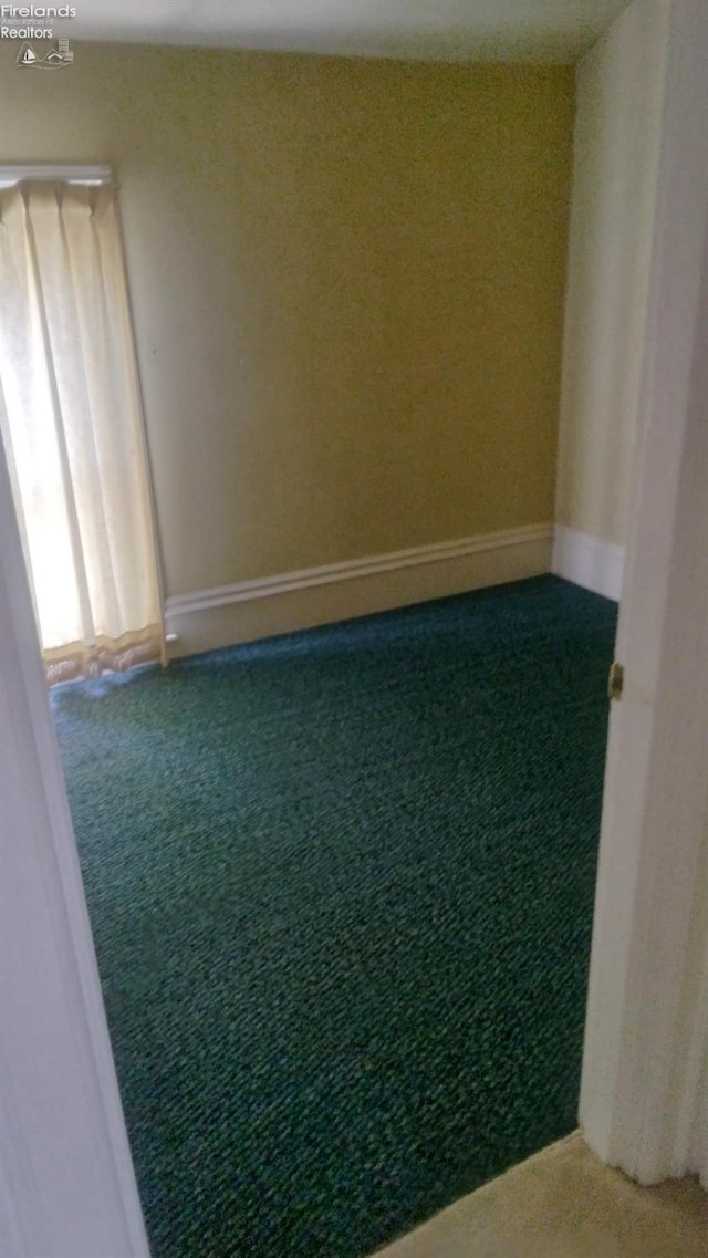 unfurnished room featuring carpet