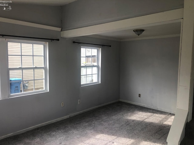 carpeted empty room with ornamental molding