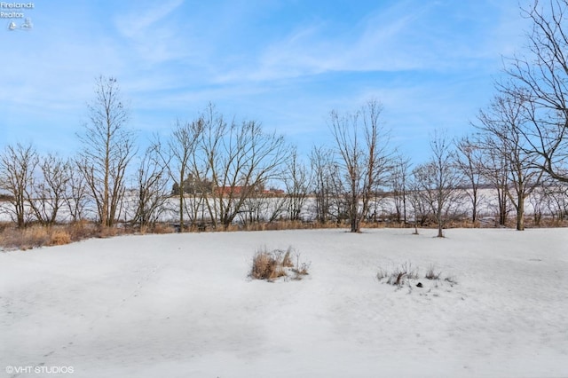 view of yard layered in snow