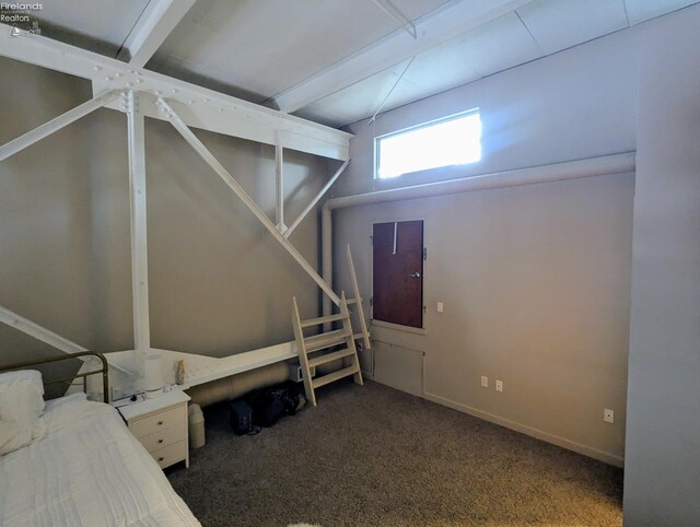 basement featuring dark colored carpet