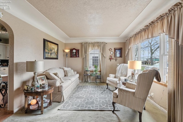 living room featuring a raised ceiling and a textured ceiling