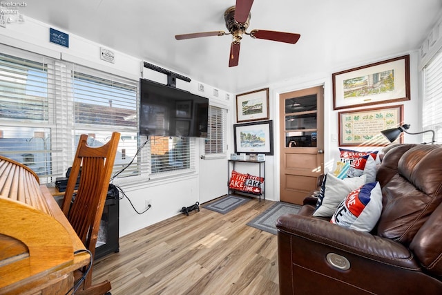 living room with ceiling fan and light wood-type flooring