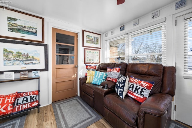 living room with hardwood / wood-style floors