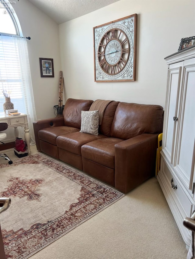 living room featuring light colored carpet, lofted ceiling, and a textured ceiling