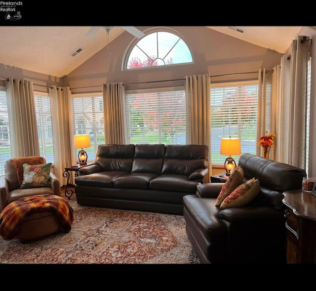 living room featuring vaulted ceiling and a healthy amount of sunlight