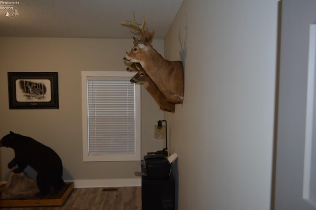 living room featuring hardwood / wood-style flooring and a textured ceiling