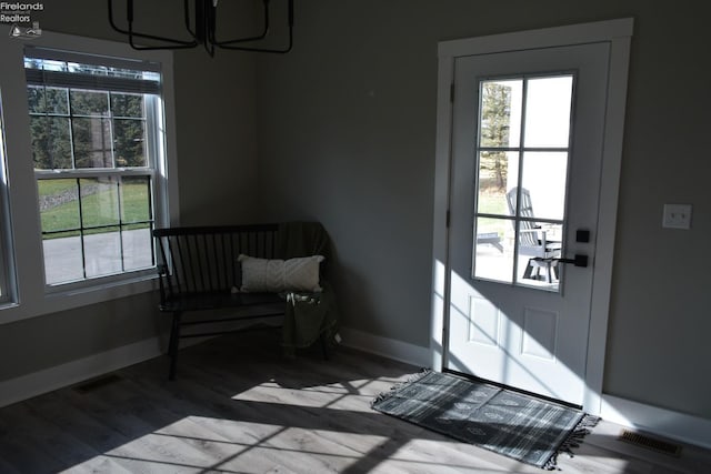 entryway featuring hardwood / wood-style floors and a wealth of natural light