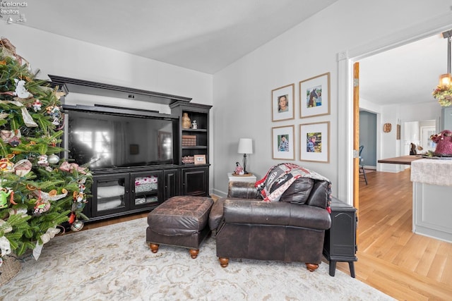 living room with hardwood / wood-style floors