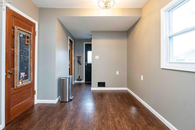 foyer entrance featuring dark wood-type flooring