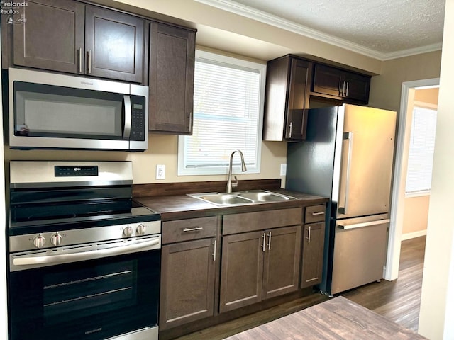 kitchen featuring appliances with stainless steel finishes, sink, crown molding, dark brown cabinets, and a textured ceiling