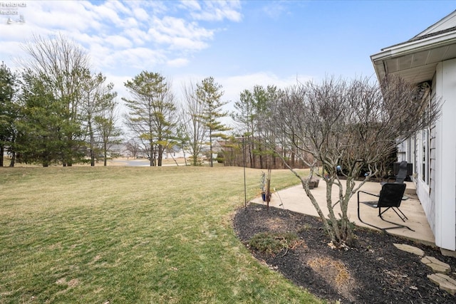 view of yard featuring a patio area