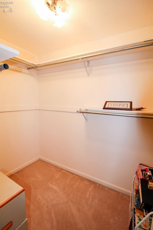 spacious closet featuring carpet flooring