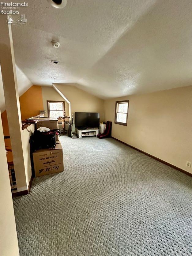 bedroom with lofted ceiling, carpet floors, and a textured ceiling