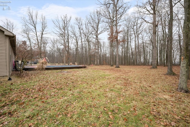 view of yard with a pool