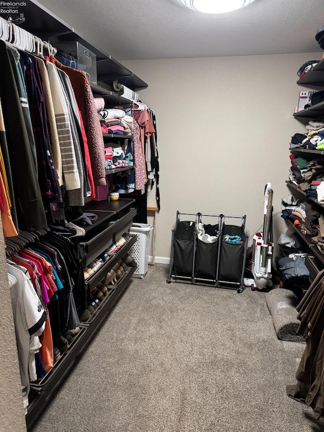 walk in closet featuring carpet