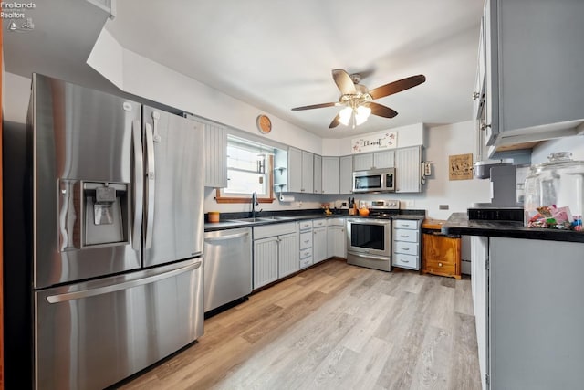 kitchen featuring sink, gray cabinets, ceiling fan, stainless steel appliances, and light hardwood / wood-style floors