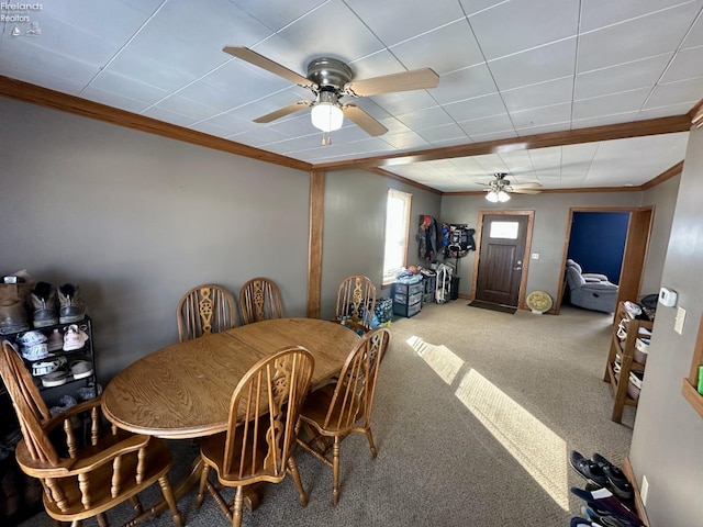 carpeted dining space with ceiling fan and crown molding