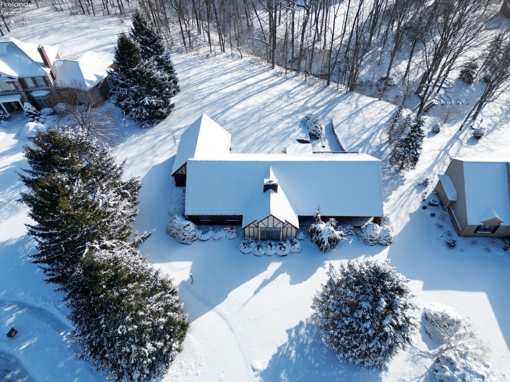 view of snowy aerial view