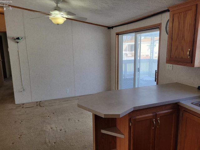 kitchen featuring light countertops, carpet floors, open shelves, and brown cabinets