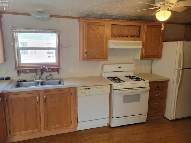 kitchen featuring white appliances, brown cabinets, light countertops, under cabinet range hood, and a sink