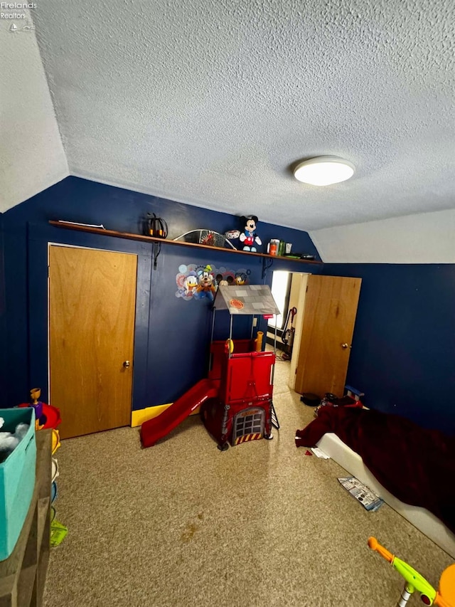 interior space featuring lofted ceiling and a textured ceiling