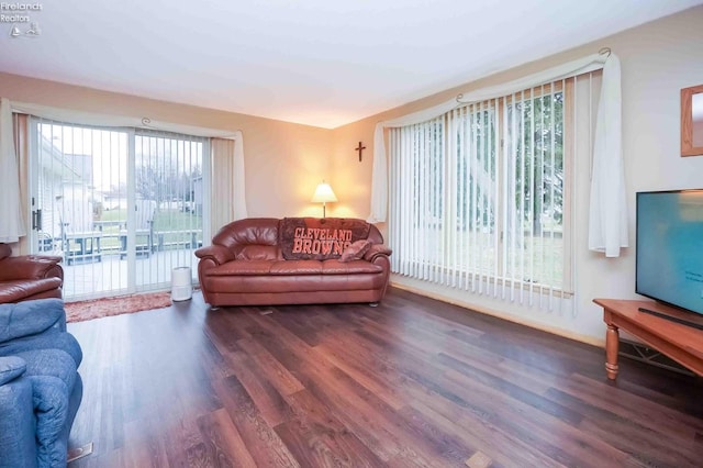 living room featuring plenty of natural light and wood finished floors