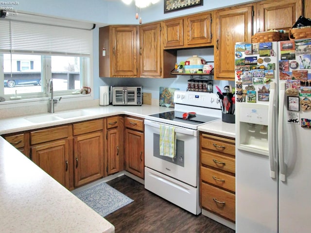 kitchen featuring white appliances, dark wood-style floors, brown cabinets, light countertops, and a sink