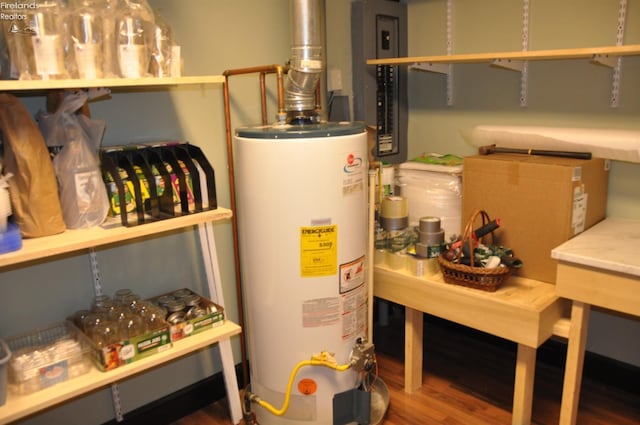 utilities featuring gas water heater and electric panel