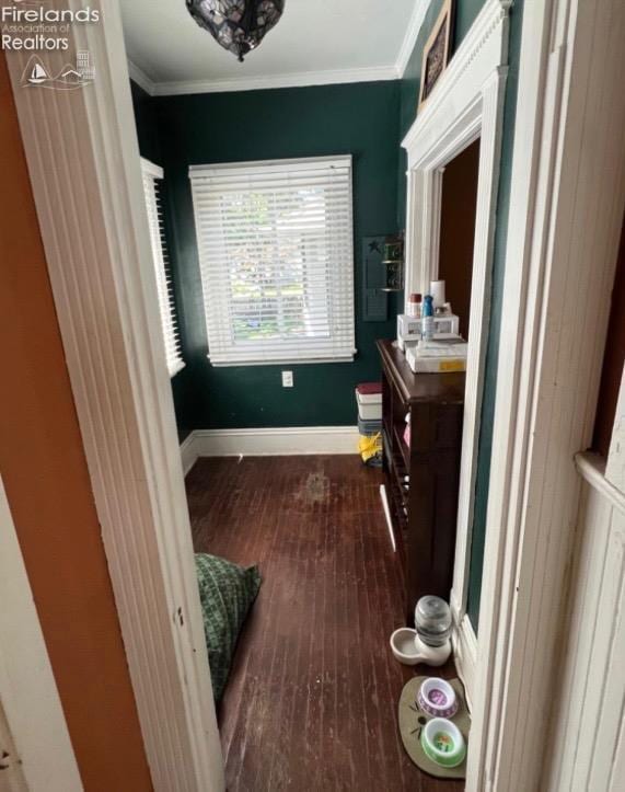 interior space featuring ornamental molding, wood finished floors, and baseboards