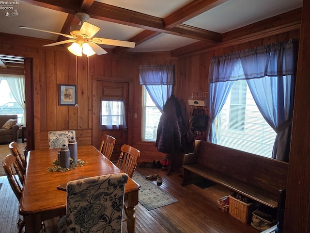 dining room with ceiling fan, wood walls, wood finished floors, coffered ceiling, and beamed ceiling