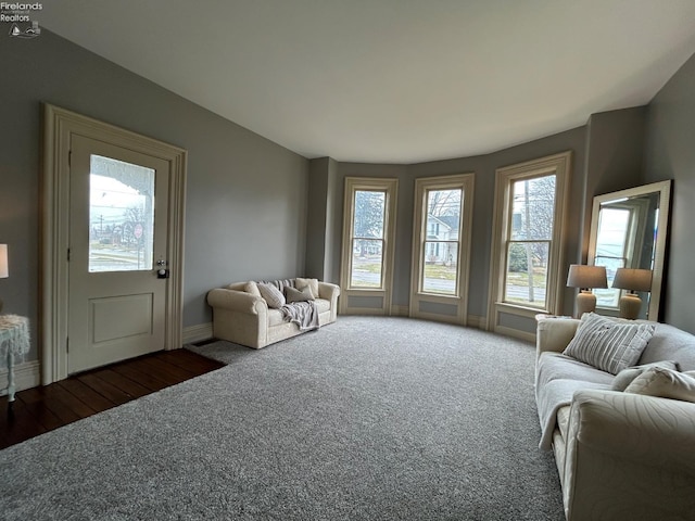 living area with carpet flooring and baseboards